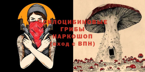 стаф Протвино
